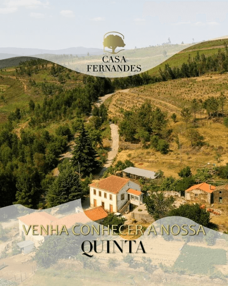 Case Study – Casa Fernandes